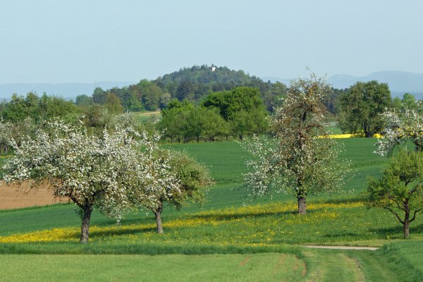 Heuberger Turm