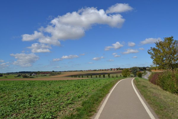 Sommerlandschaft